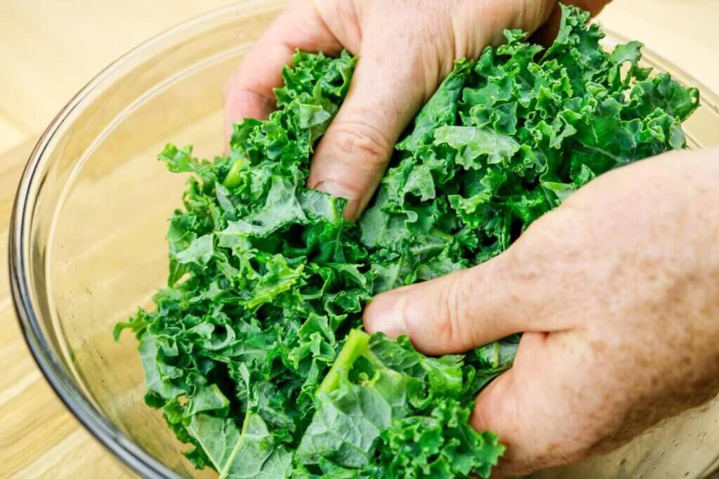 Hands massaging fresh kale leaves to soften them for a crispy quinoa kale salad.