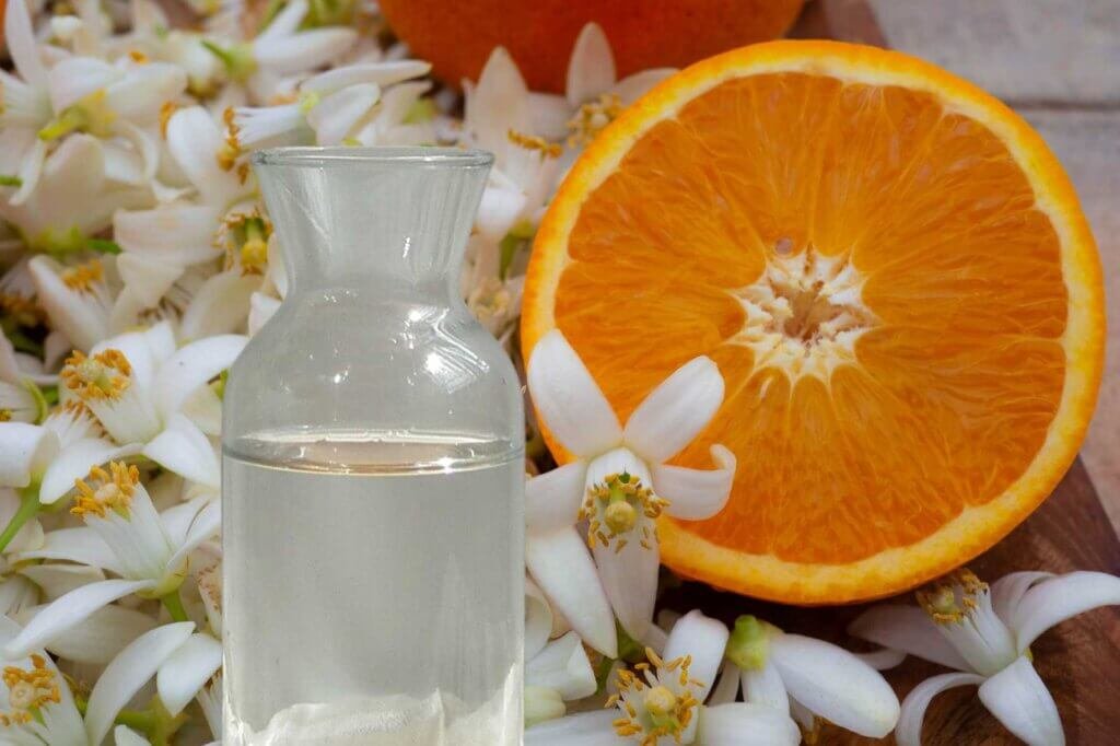 Bottle of orange blossom water surrounded by fresh orange blossoms and a sliced orange, showcasing a traditional ingredient used in Lebanese desserts.