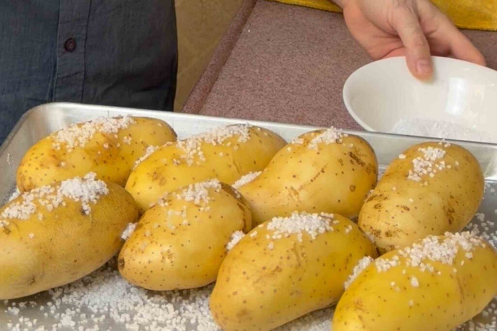 Yellow potatoes covered with coarse salt before baking for mashed potato purée.
