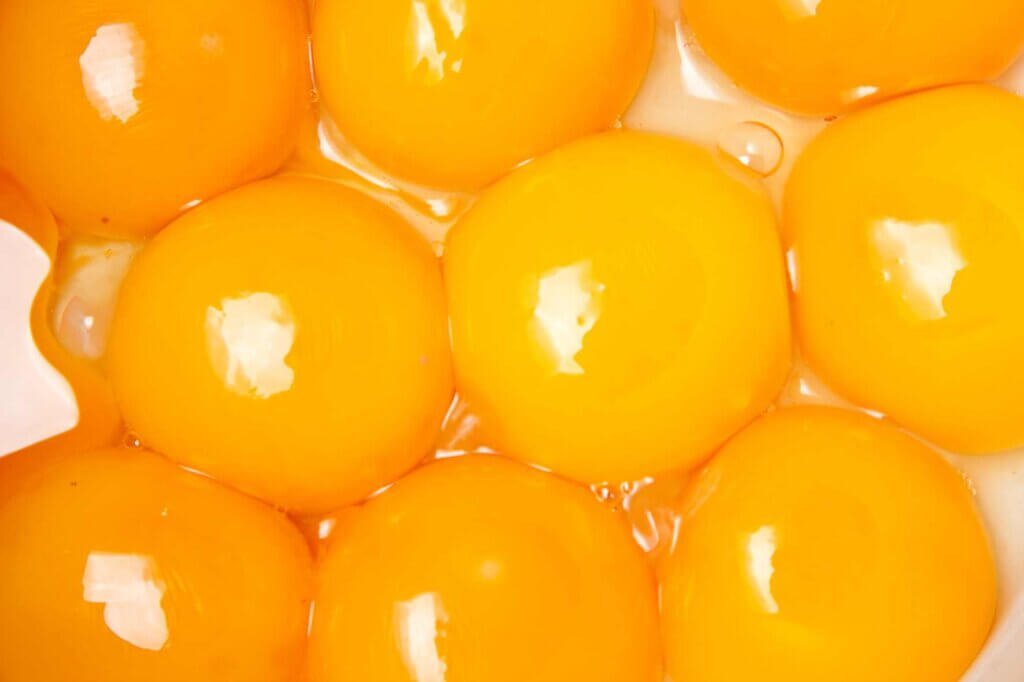 Close-up of fresh egg yolks, a natural emulsifier used to create stable mayonnaise and other creamy emulsified sauces.