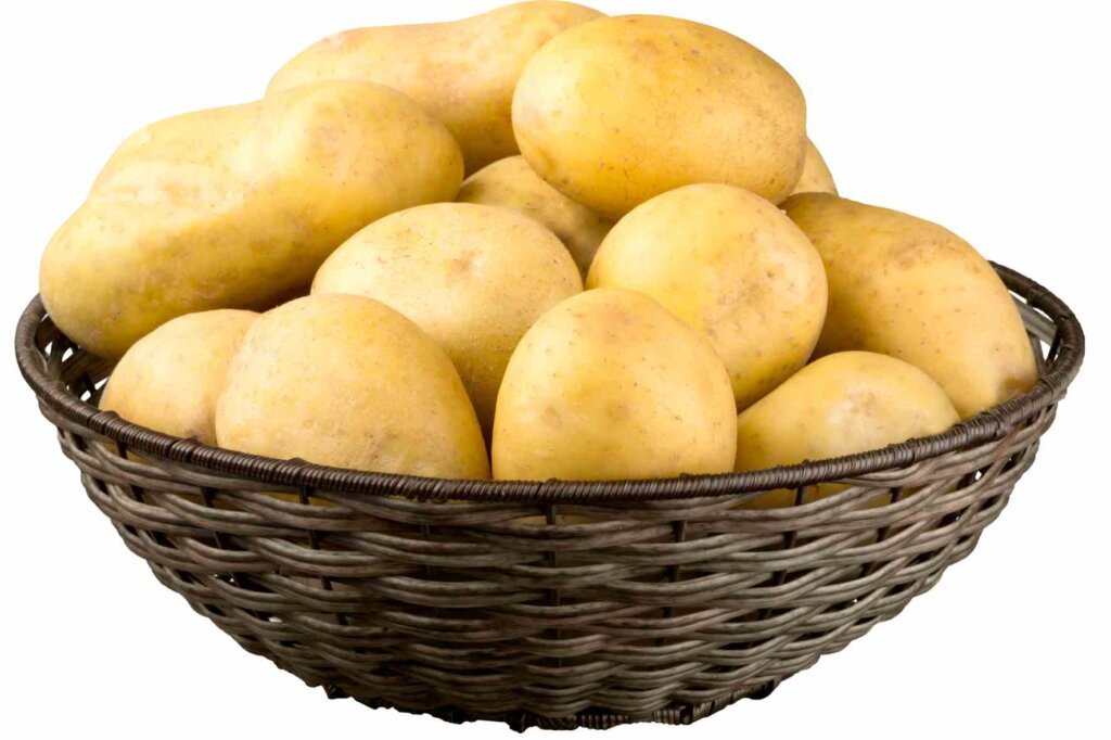 Basket of yellow potatoes suitable for making creamy mashed potato purée
