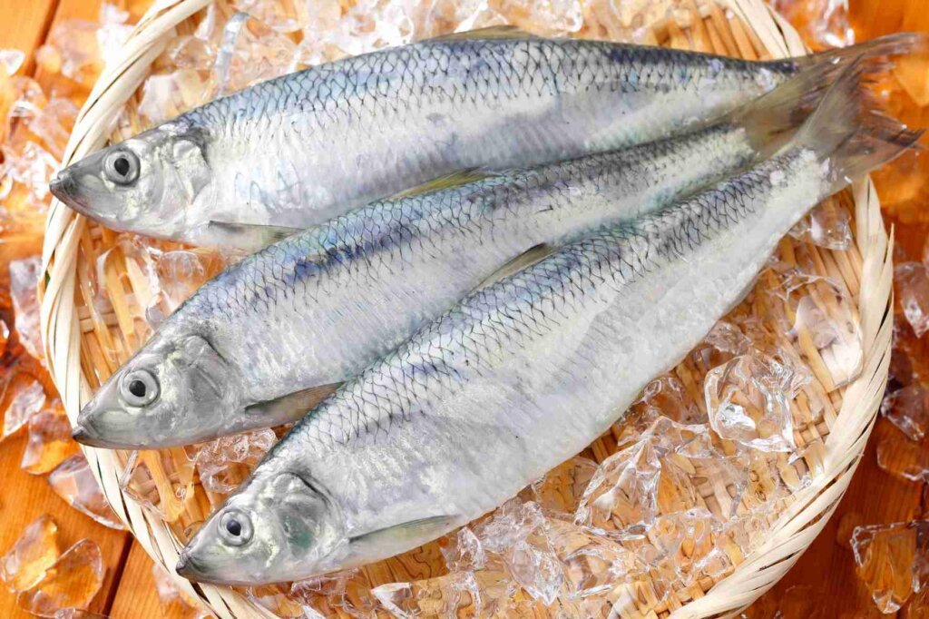 Three whole fresh silver fish arranged on crushed ice in a woven basket.