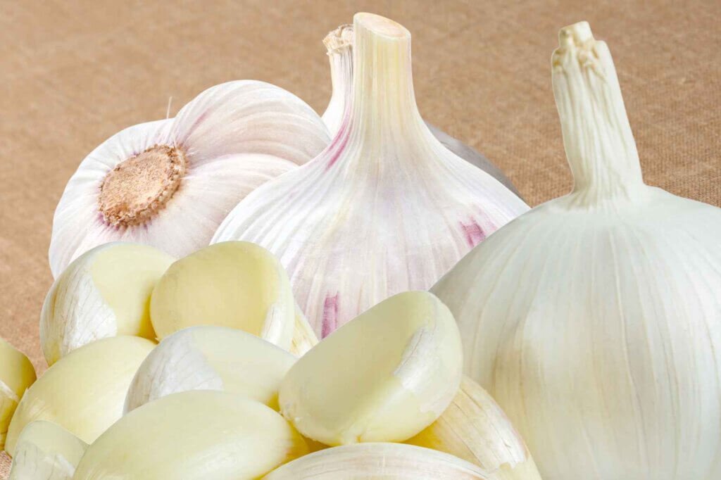 Whole garlic bulbs and peeled garlic cloves on a neutral beige background